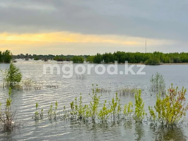 Штормовое предупреждение объявлено в ЗКО 5 сентября
